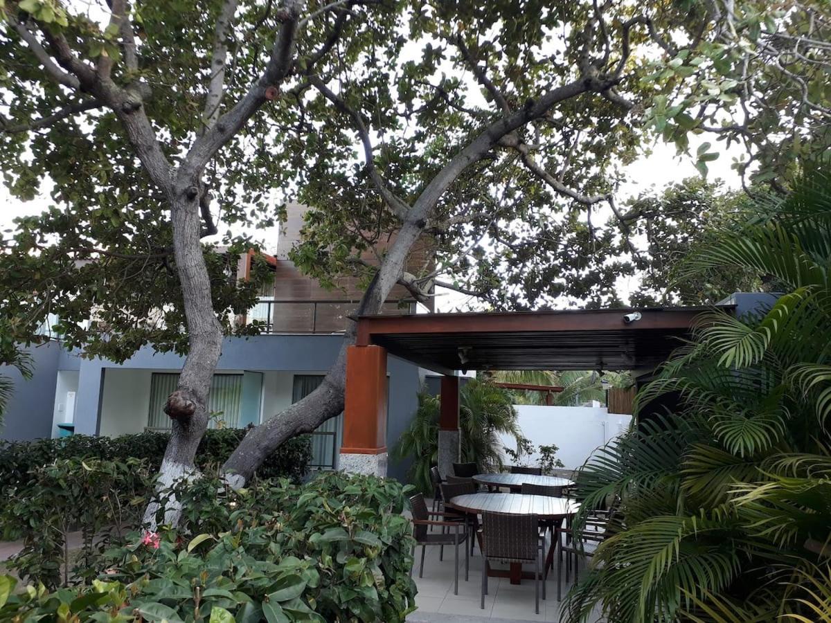 Solaris Village Imbassai Σαλβαντόρ Εξωτερικό φωτογραφία